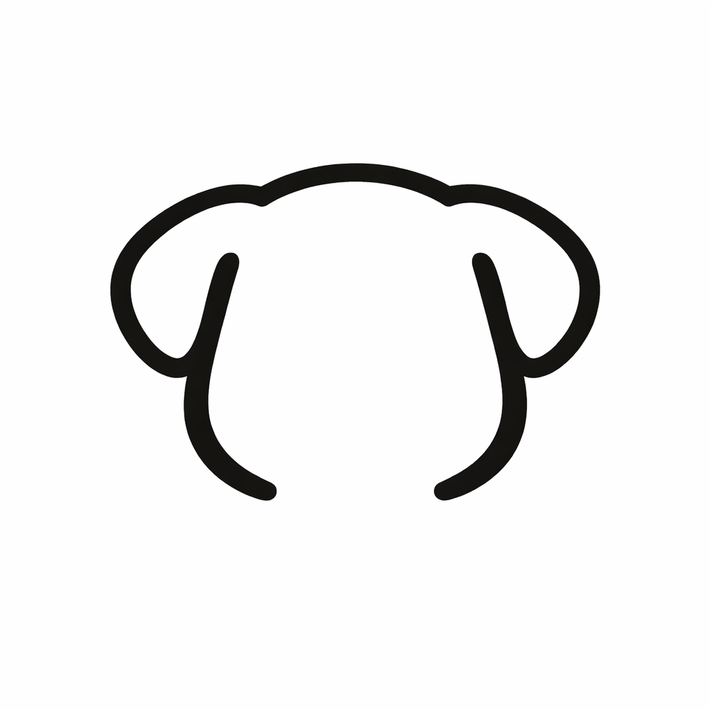 Logo RUMBA.EX